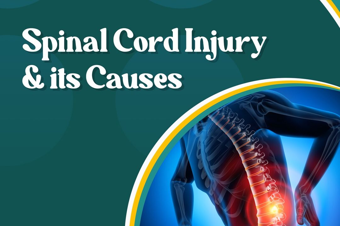 Spinal Cord Injury & its Causes